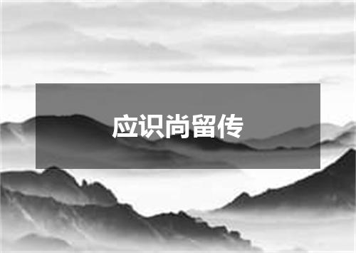 应识尚留传