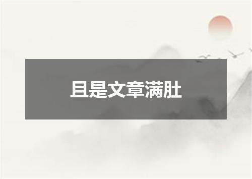 且是文章满肚