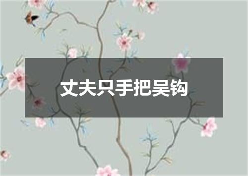 丈夫只手把吴钩