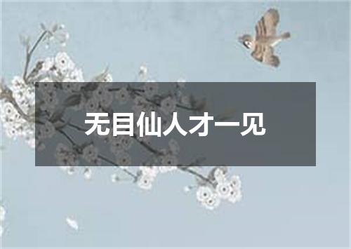 无目仙人才一见