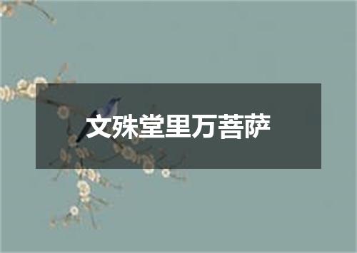 文殊堂里万菩萨