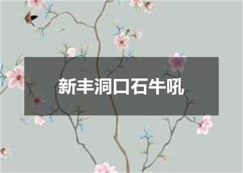 新丰洞口石牛吼