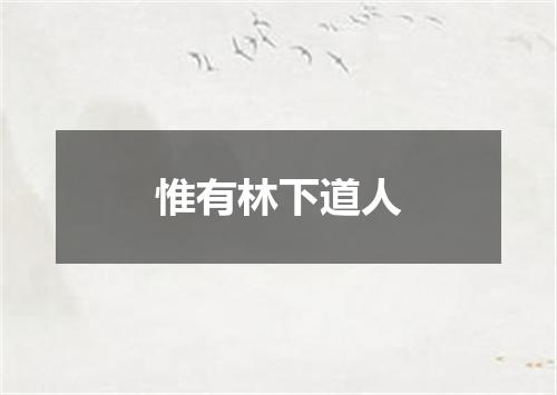 惟有林下道人