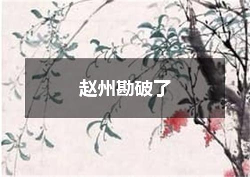 赵州勘破了