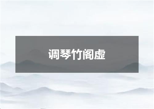 调琴竹阁虚
