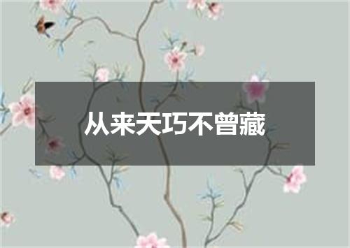 从来天巧不曾藏