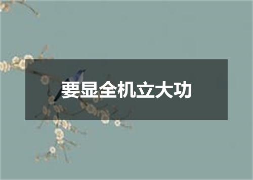 要显全机立大功
