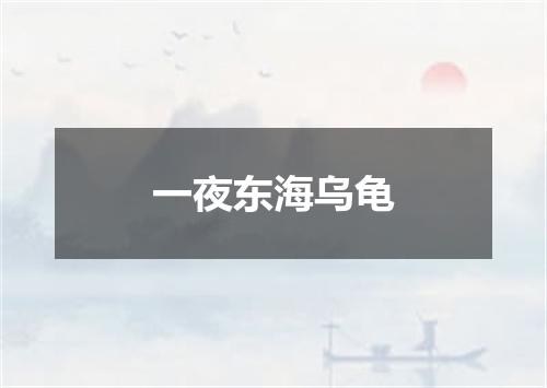 一夜东海乌龟