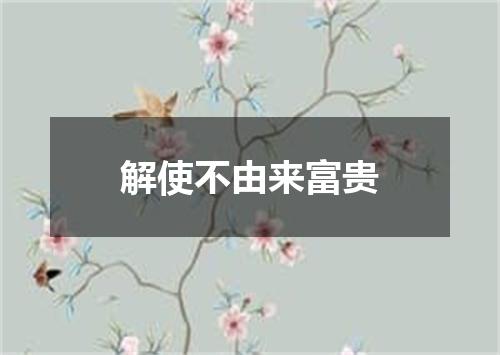 解使不由来富贵