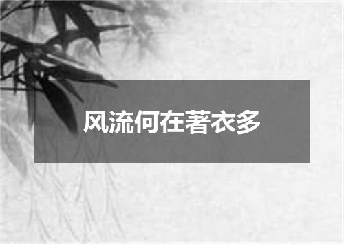 风流何在著衣多