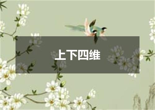 上下四维