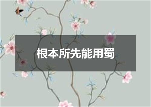 根本所先能用蜀