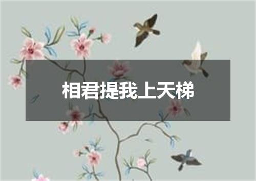 相君提我上天梯