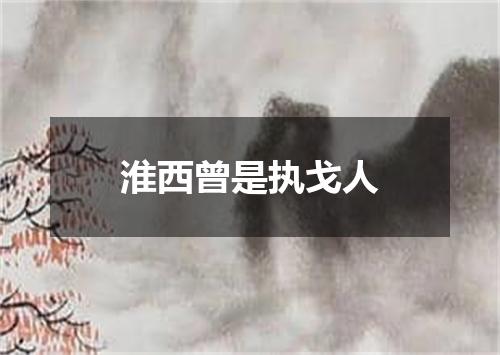 淮西曾是执戈人