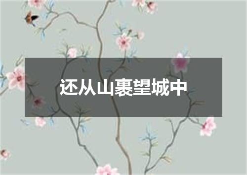 还从山裹望城中