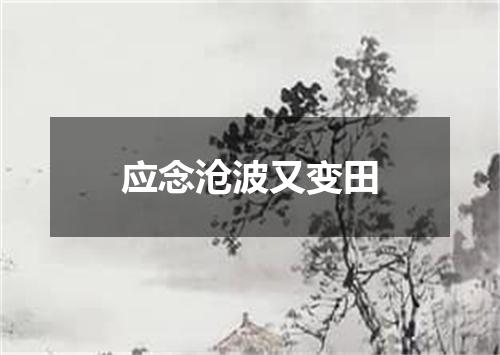 应念沧波又变田
