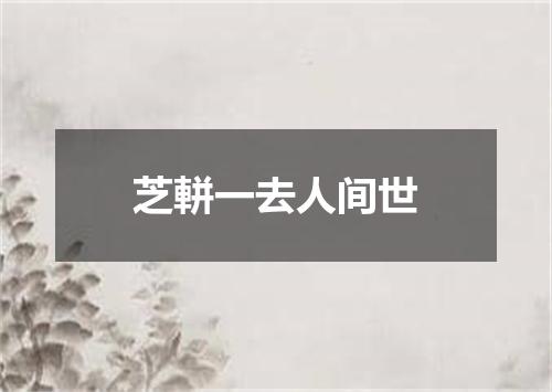 芝軿一去人间世
