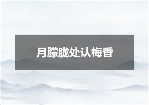 月朦胧处认梅香