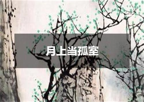 月上当孤室