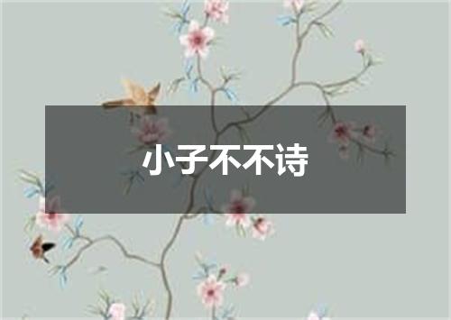 小子不不诗