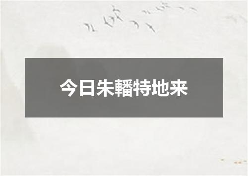 今日朱轓特地来