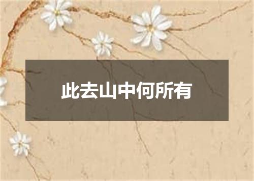 此去山中何所有