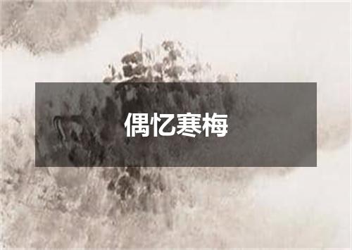 偶忆寒梅