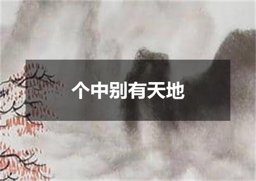 个中别有天地