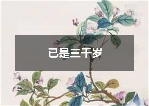 已是三千岁