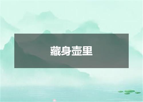 藏身壶里