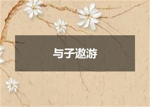与子遨游