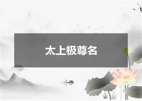太上极尊名