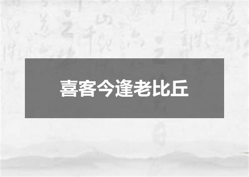 喜客今逢老比丘