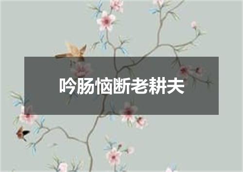 吟肠恼断老耕夫