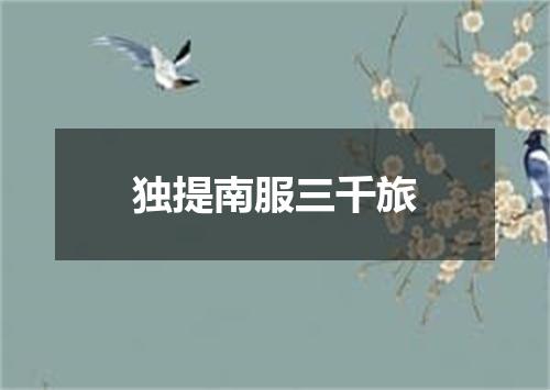 独提南服三千旅