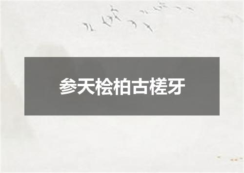 参天桧柏古槎牙