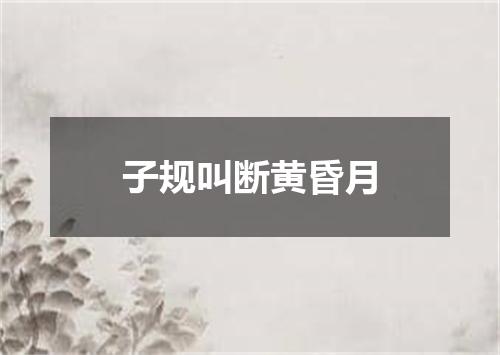 子规叫断黄昏月
