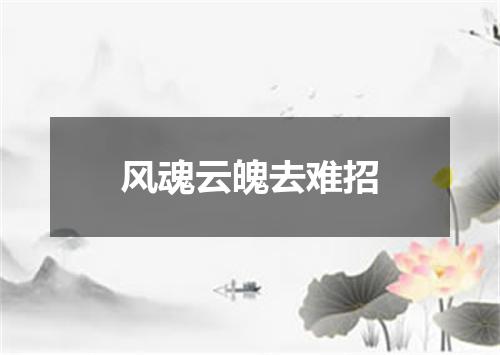 风魂云魄去难招