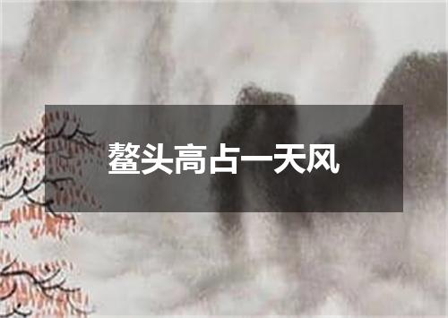 鳌头高占一天风