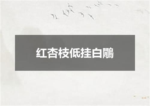 红杏枝低挂白鷳