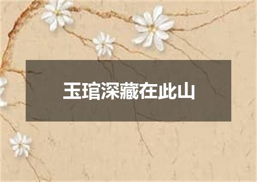 玉琯深藏在此山