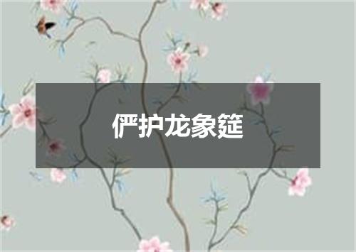 俨护龙象筵