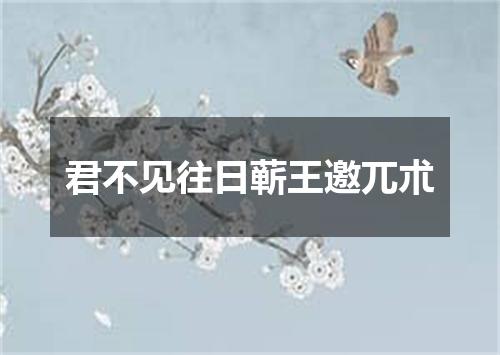 君不见往日蕲王邀兀朮