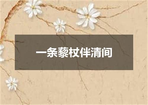 一条藜杖伴清间