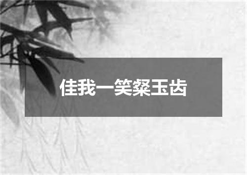 佳我一笑粲玉齿