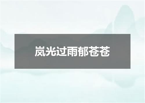 岚光过雨郁苍苍