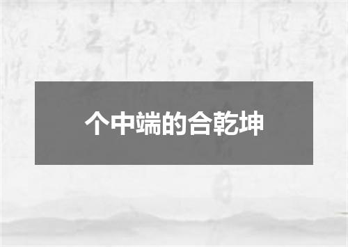 个中端的合乾坤