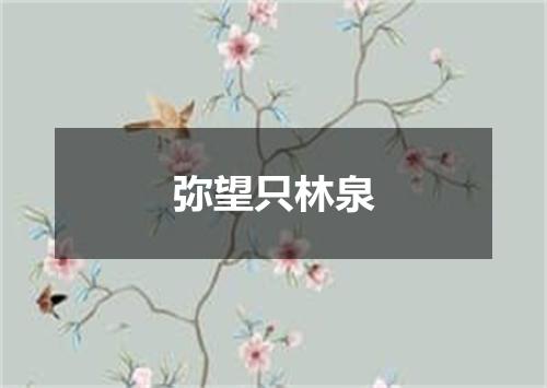 弥望只林泉