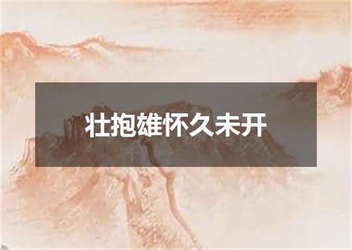 壮抱雄怀久未开