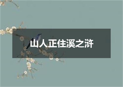山人正住溪之浒